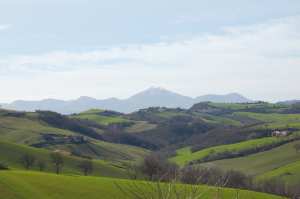 Colli Esini Frasassi paesaggio